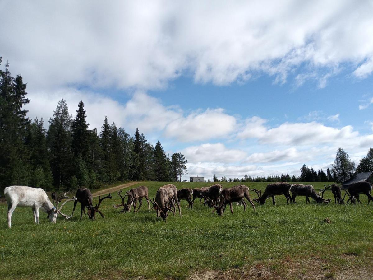 Reindeernook Apartment Kuusamo Luaran gambar